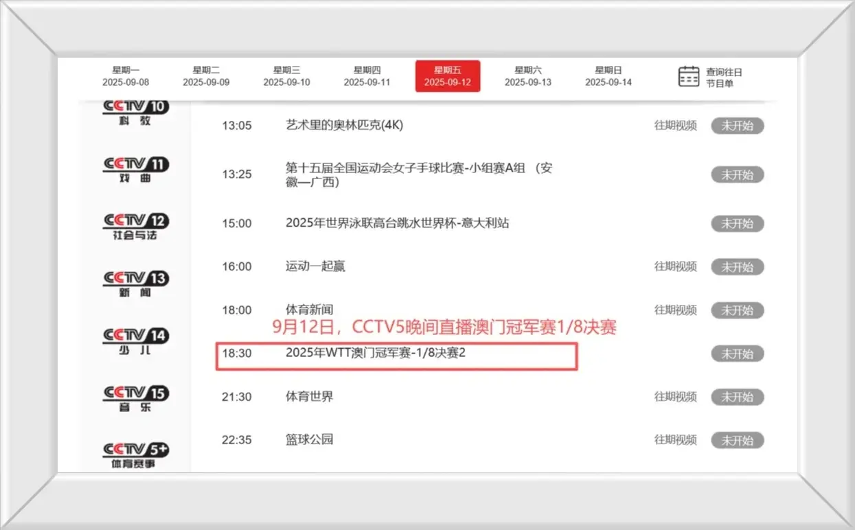 entit, msn, 内部只排在